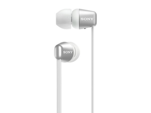 WI-C310W